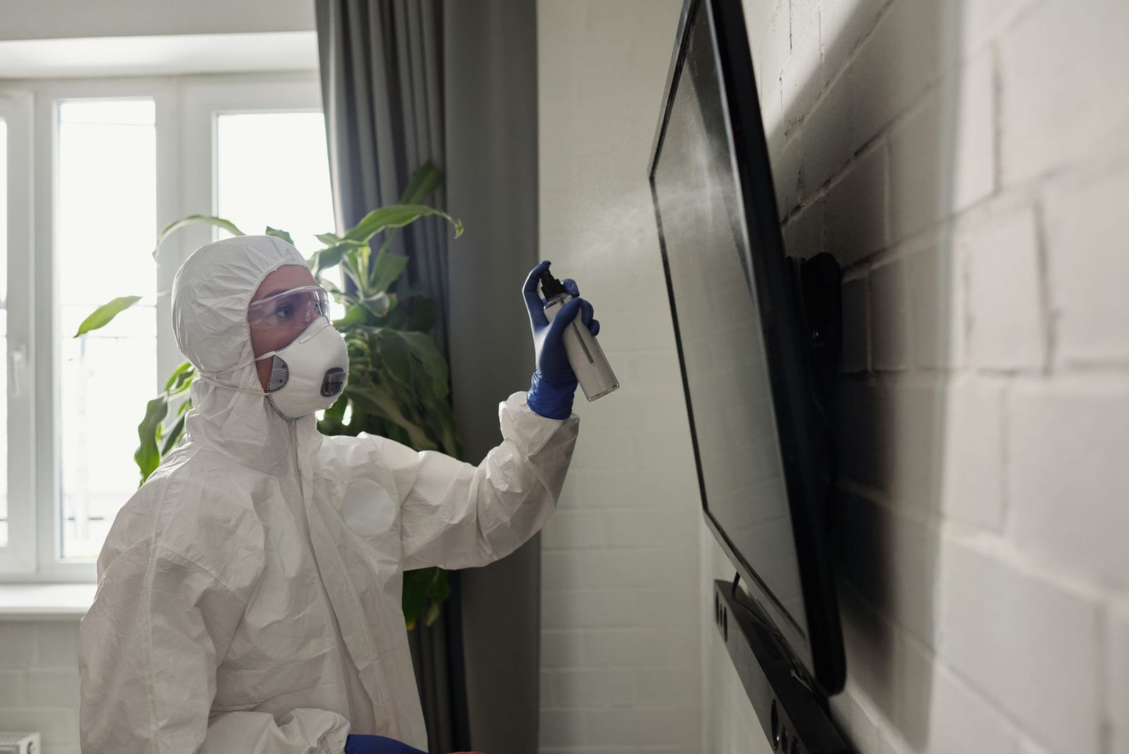 Mold Testing