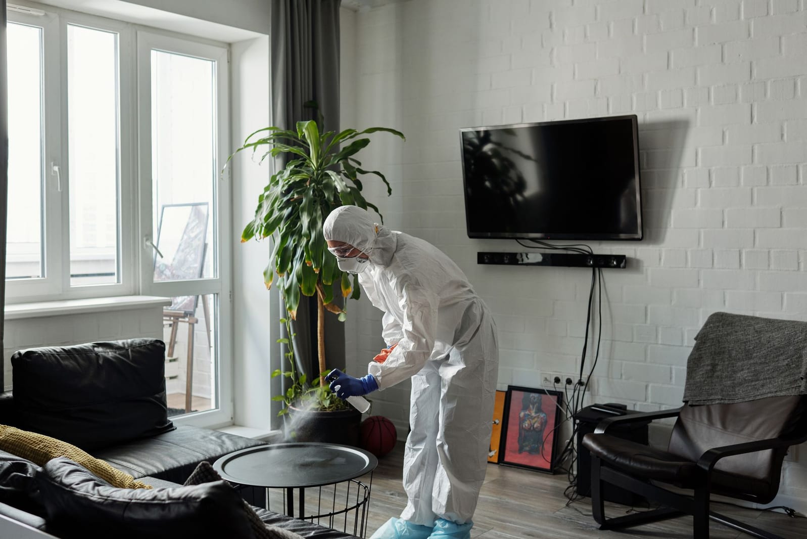 Mold Inspection